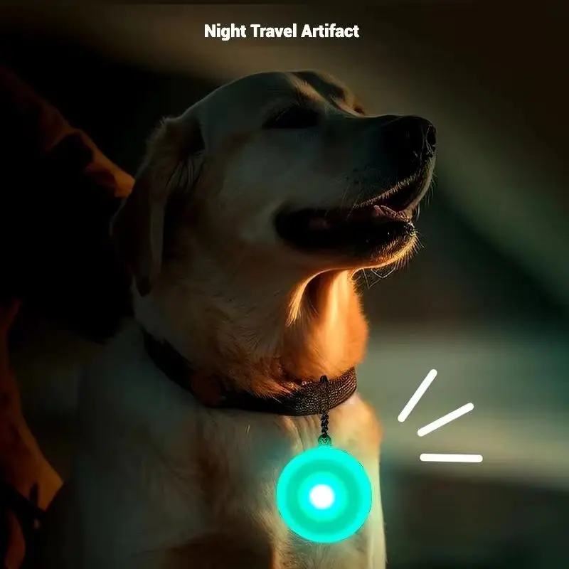 Luz LED para collar de perro, colgante impermeable visible