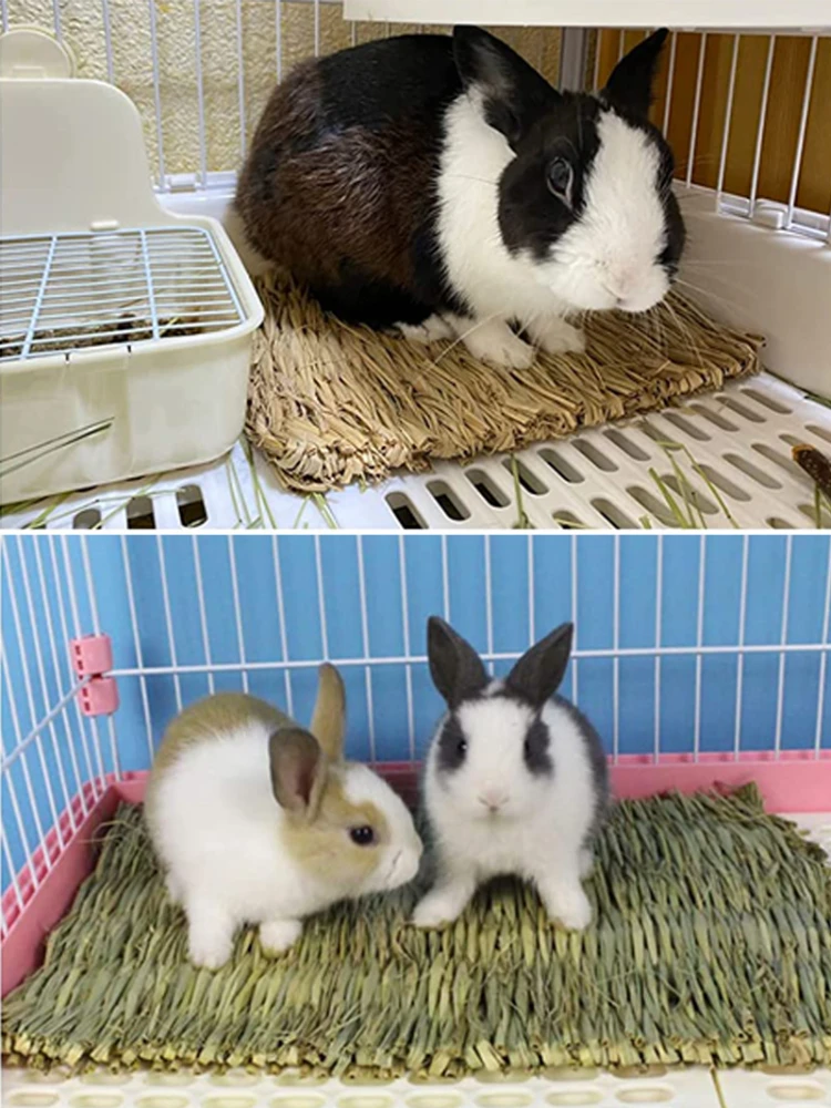 Estera para masticar hierba de conejo, Animal pequeño, hámster, conejillo de indias, jaula, cama, casa, almohadilla - imagen 2