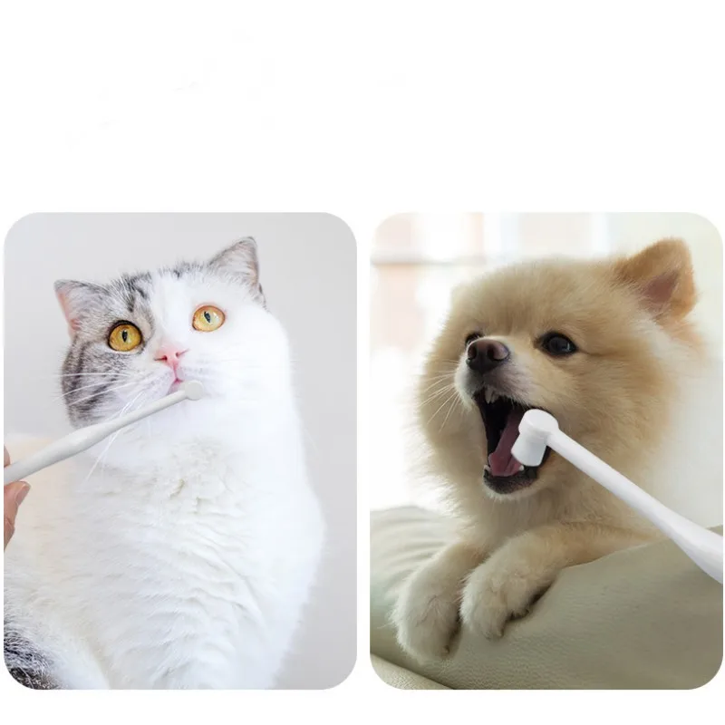Cepillo de dientes para perros y gatos con mango largo - imagen 5