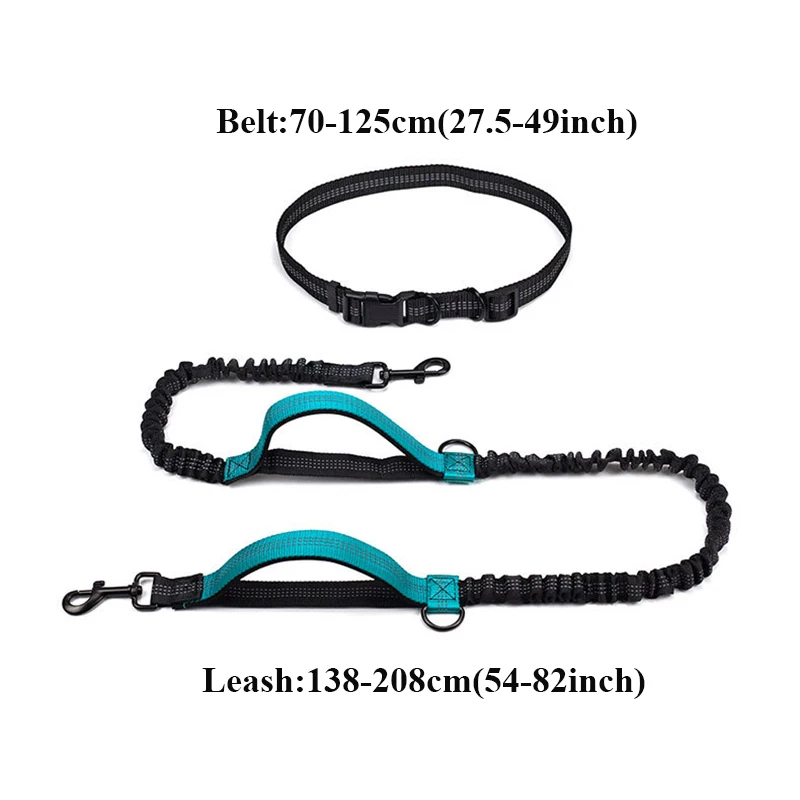 Correa reflectante elástica para perro, doble asa de tracción, cinturón ajustable para correr, accesorios para mascotas - imagen 4