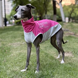 Chaleco refrigerante para perro Whippet – Protección solar