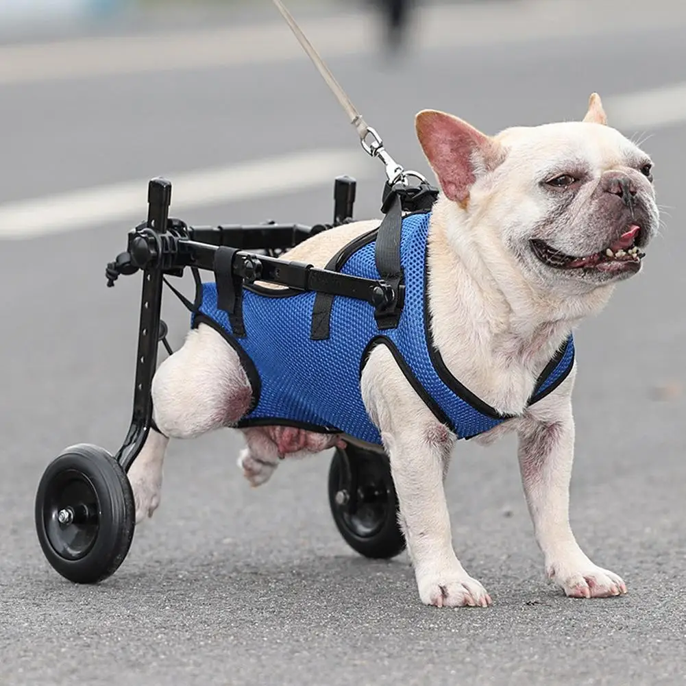 Carrito de movilidad para perros con problemas en las patas traseras - imagen 2