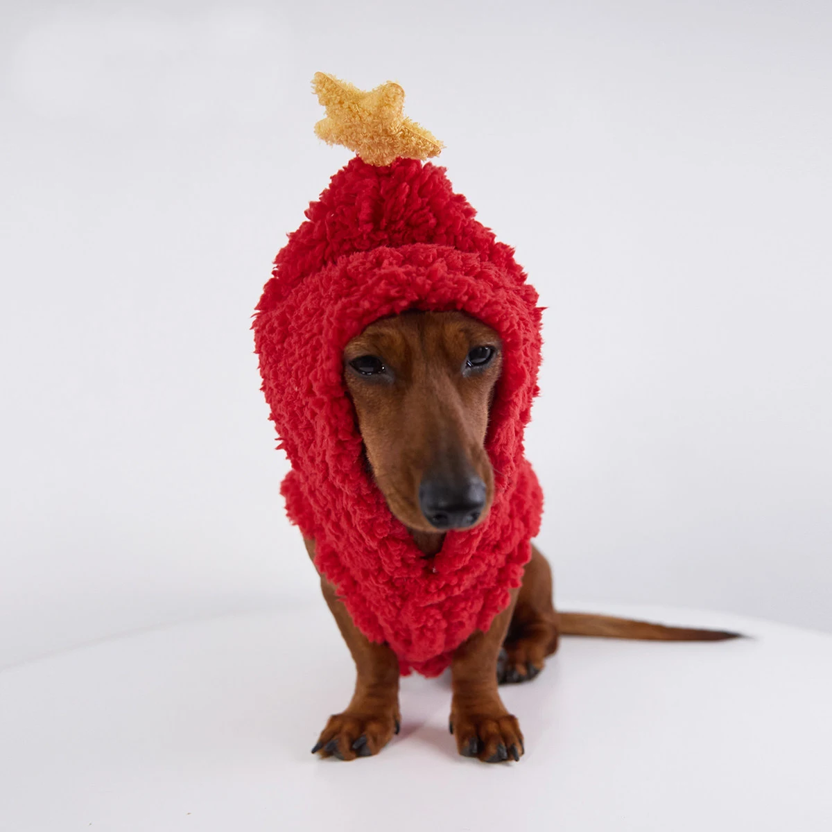 Suéter polar con capucha estrella para dachshund - imagen 4