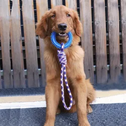 Juguete para masticar anillo con púas – Limpieza dental perros