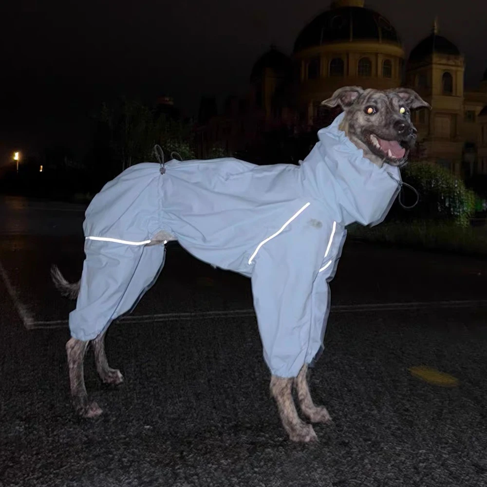 Chubasquero impermeable transpirable para galgo italiano y whippet