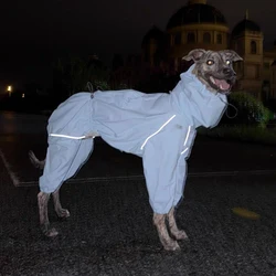 Chubasquero impermeable transpirable para galgo italiano y whippet