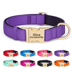 Collar grabado acolchado impermeable para perros – Varios tamaños