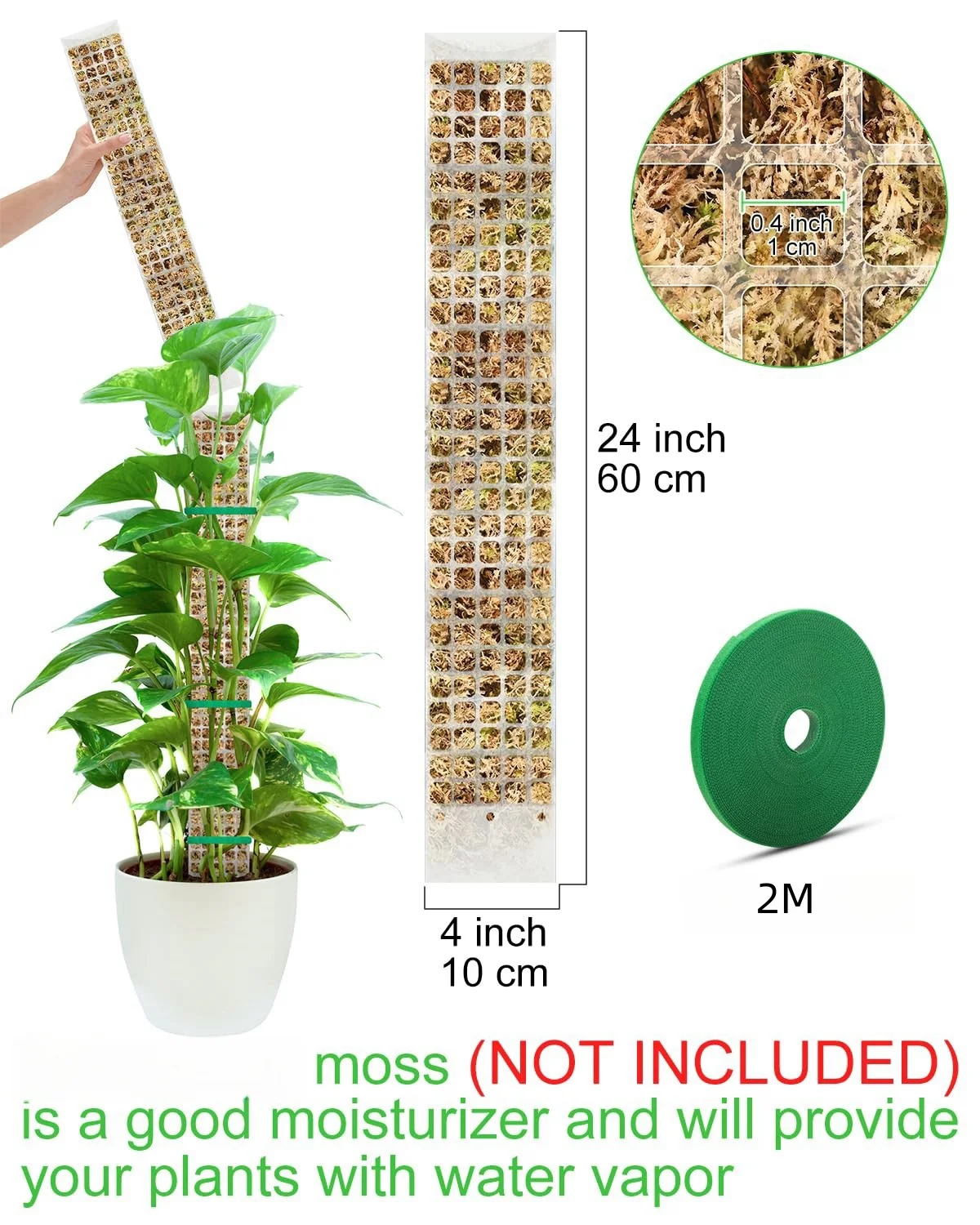 Poste de musgo para plantas, sujeto de jardín, escaladores de plantas de flores, accesorios para bonsái, macetas, tutores, para maceteros, soporte para crecimiento de plantas - imagen 3