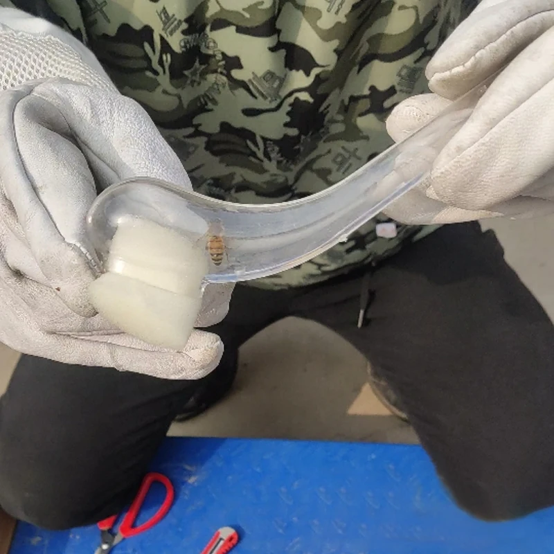 Tubo de apicultura de 2 piezas, jaula de captura tipo reina y Rey, dispositivo de protección, suministros de herramientas de Apicultura - imagen 4