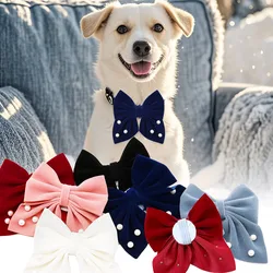 Collar con lazo extraíble para perros pequeños y gatos