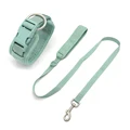 collar leash