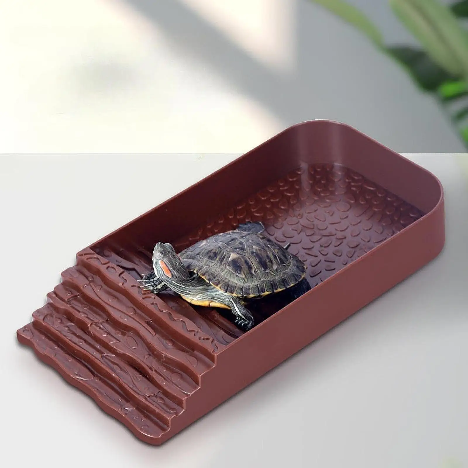 Turtle Food Bowl Tortoise Feeder Reptile Bath Pool for Scorpion Gecko Snake