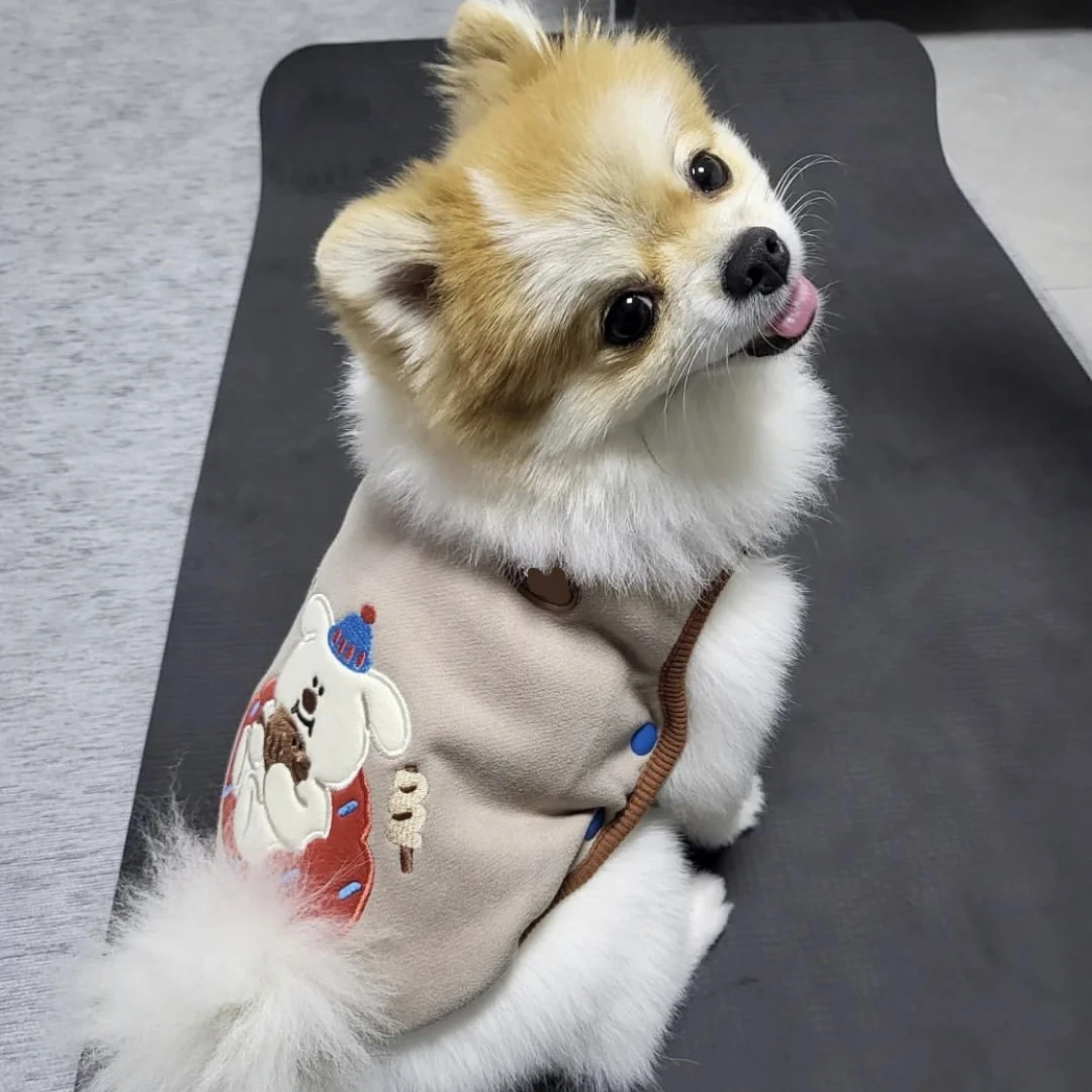 Chaleco de felpa para mascotas, chaqueta cálida de invierno, chaqueta suave y pegajosa de una pieza, ropa bordada bonita, ropa para cachorros, chaleco para perros, disfraz para perros - imagen 2