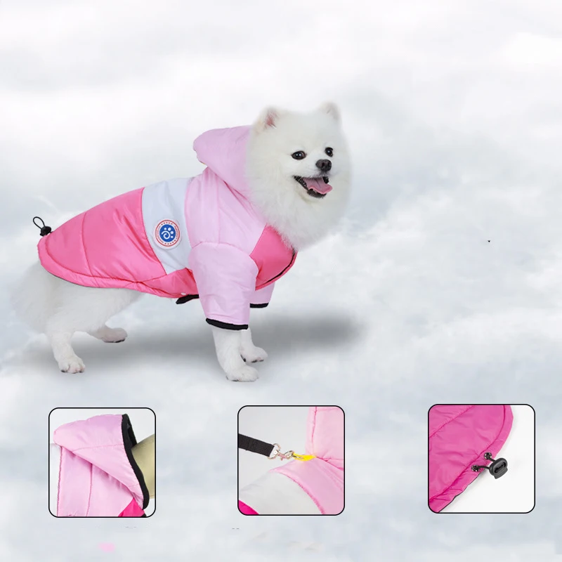 Chaqueta de algodón para mascotas de invierno para perros, ropa cálida para mascotas, abrigo para cachorros para perros pequeños y medianos, gatos, Chihuahua, Bulldog, ropa maltesa - imagen 4