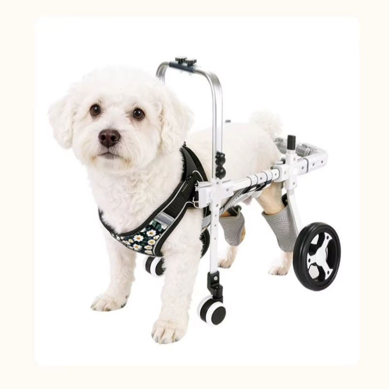 Silla de ruedas para perros y gatos – Retráctil patas traseras - imagen 2