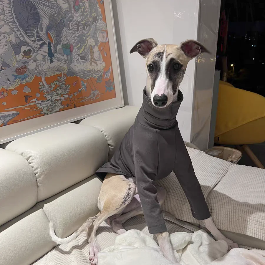 Camiseta rosa de algodón para primavera, abrigo gris suave de manga larga para galgo italiano, ropa para perros Whipbit, ropa de descanso de cuello alto para cachorros
