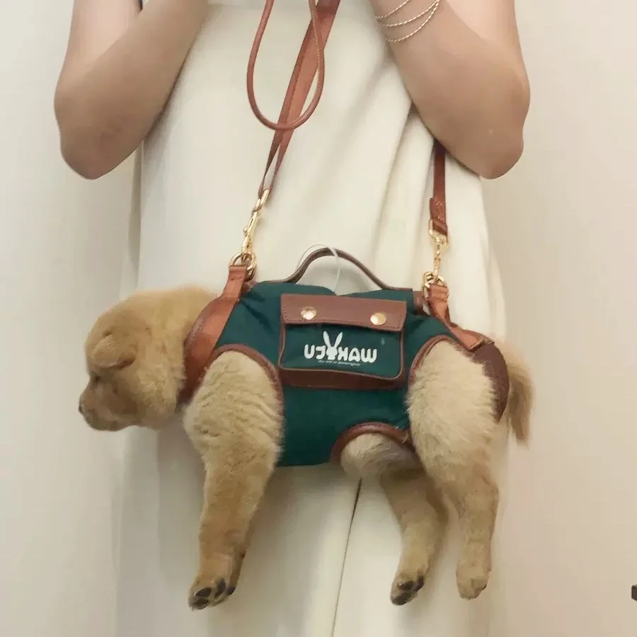 Portabebés y arnés para mascotas 2 en 1, elegante arnés verde con juego de correa para perros pequeños, bolsa transportadora para mascotas de lado suave, arnés elevador para mascotas