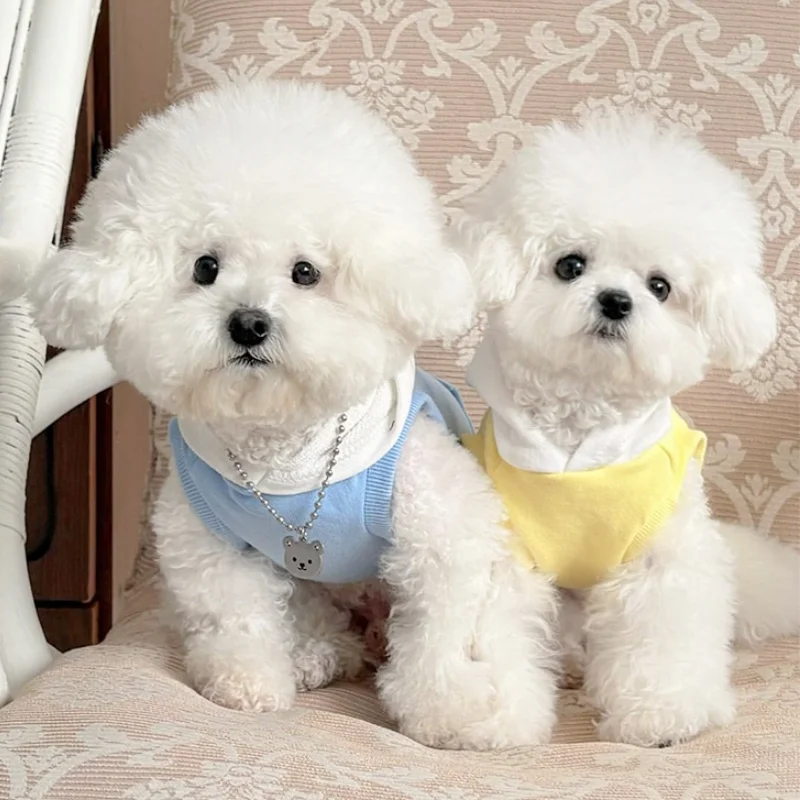 Sudaderas con capucha con estampado de letras para perros, ropa sólida a la moda para perros, jerséis para cachorros de otoño, sudaderas suaves y cálidas para gatos, sudaderas con capucha para mascotas, disfraces de Bichon - imagen 2