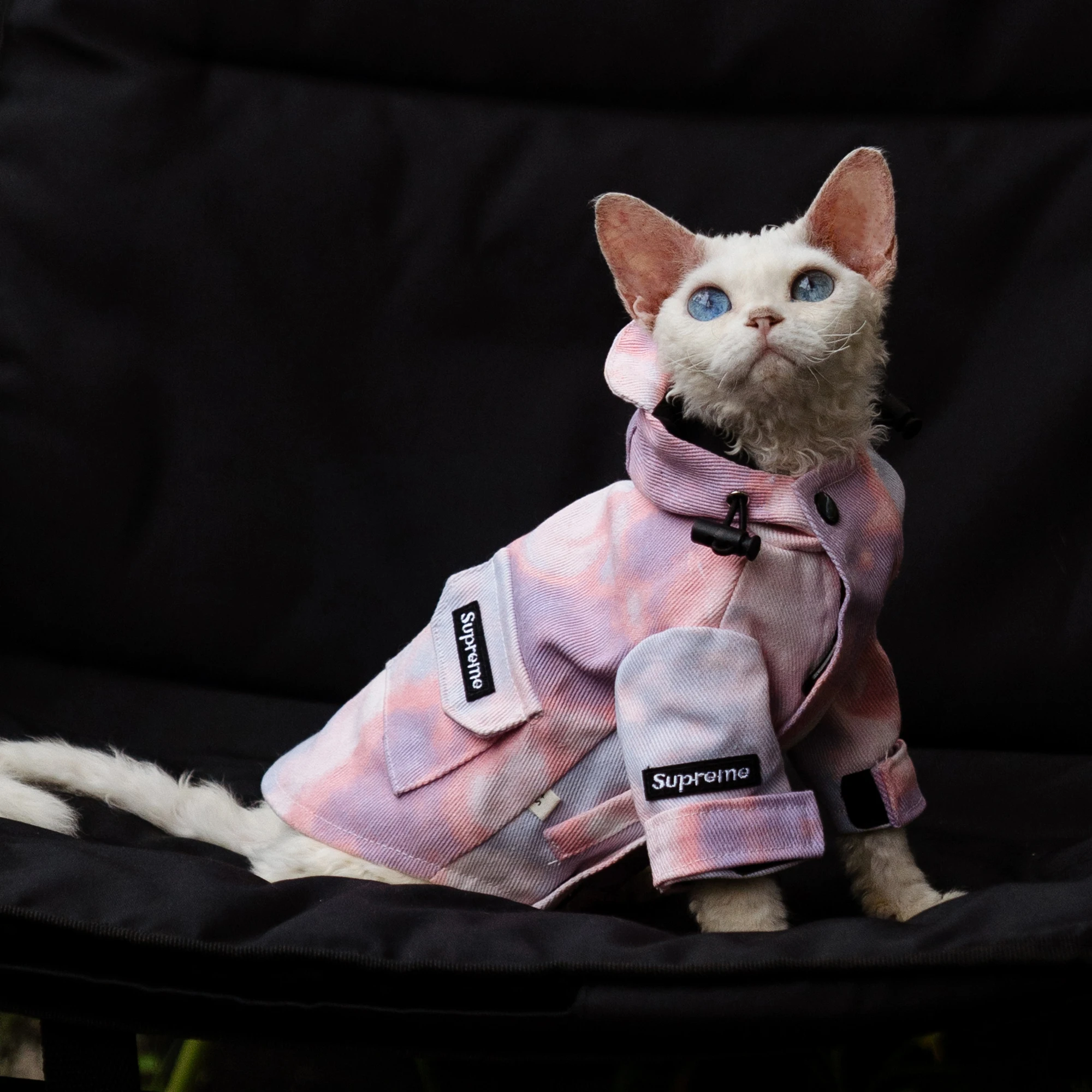 Chaqueta de lujo para exteriores para gatos, ropa impermeable a la moda para gatos Sphynx, abrigo grueso con capucha a prueba de viento para suministros para gatos Devon Rex
