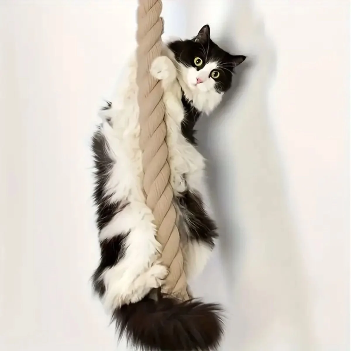 Rascador de Sisal montado en la pared para árbol de cuerda de escalada en el techo para gatos, muebles duraderos para mascotas, entrenamiento de molienda de garras - imagen 2