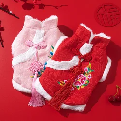 Jersey de invierno para gato: acolchado cálido de algodón para Sphynx