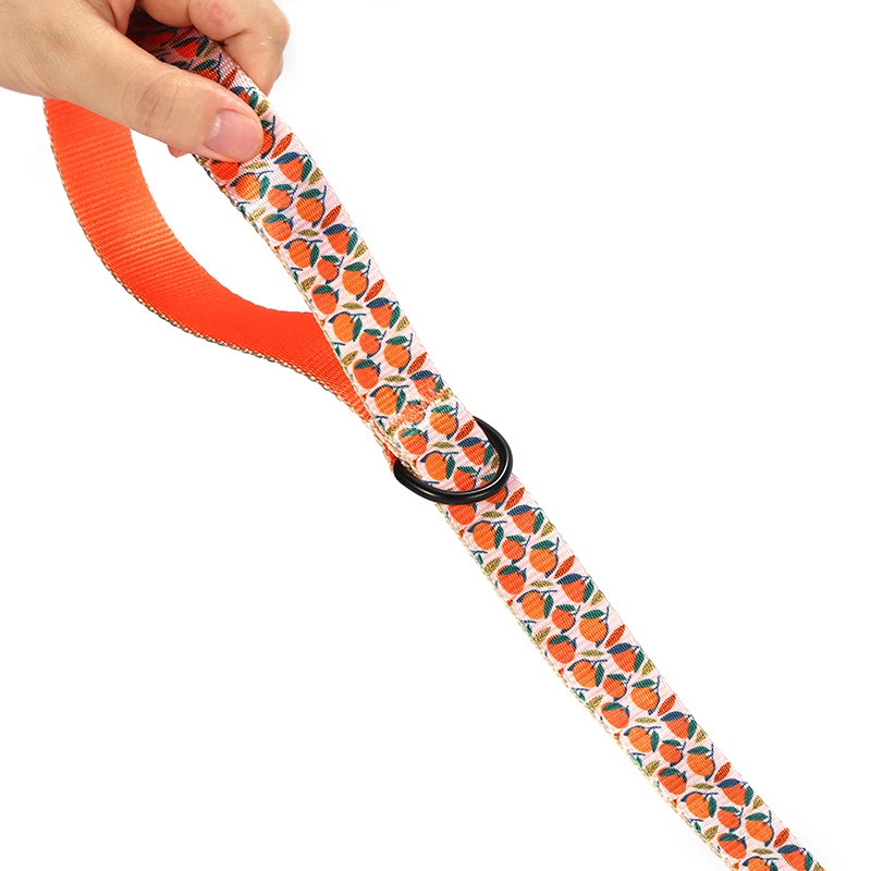 PLATTCO color de la correa para perro con estampado de mascotas nueva BANDA NARANJA personalizada para perros pequeños, medianos y grandes 5 tamaños PDL324 - imagen 5