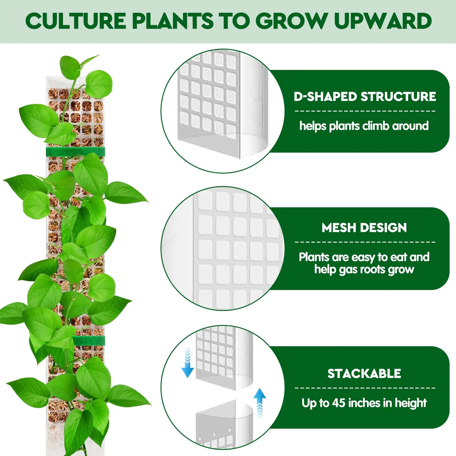 Plantas de tema de jardín, poste de musgo, escaladores de plantas de flores, accesorios para bonsái, macetas, tutores, para maceteros, soporte para crecimiento de plantas - imagen 2