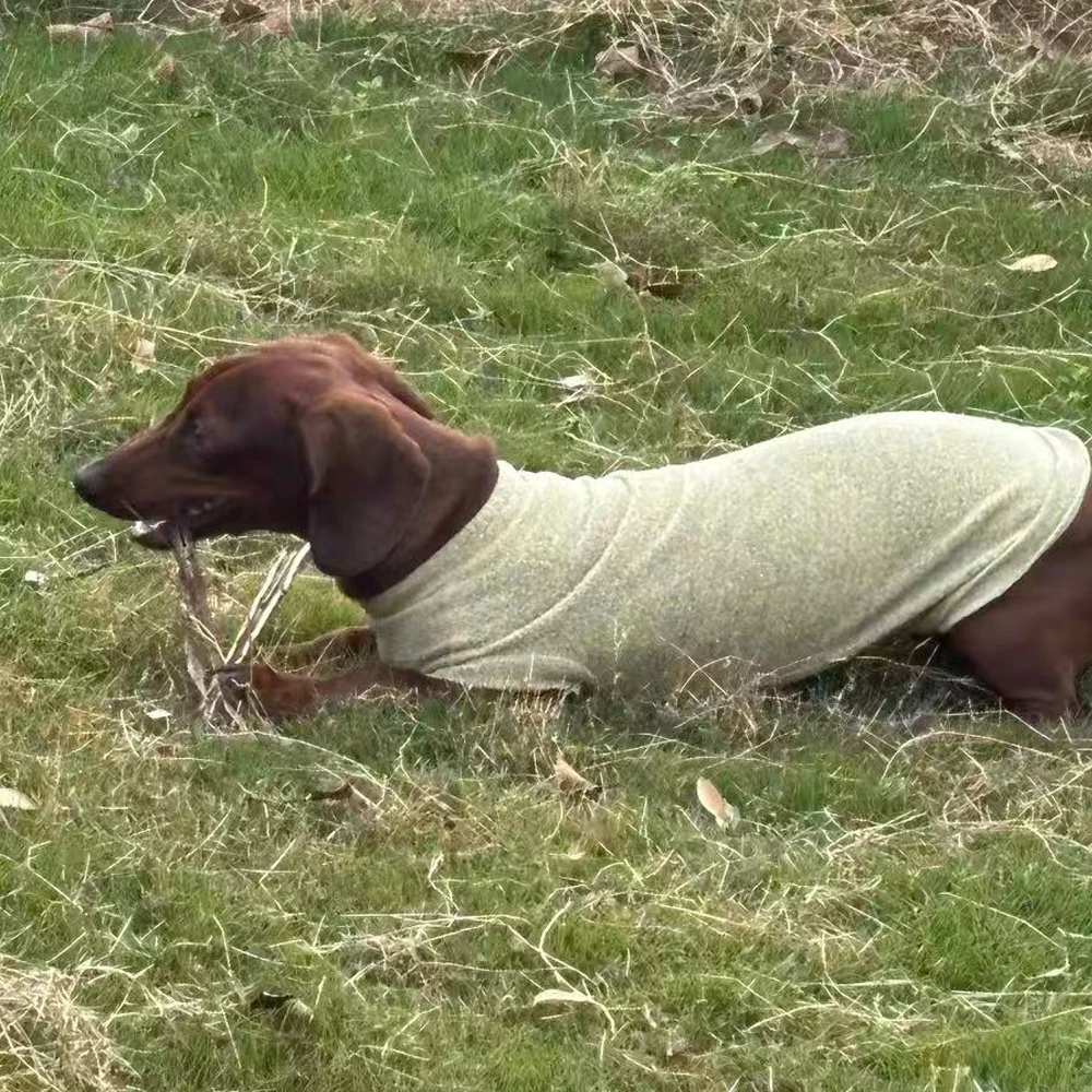 Suéter de lana para perros Wiener, camiseta interior suave para perros salchicha en invierno, abrigo cálido de manga larga para salchicha en miniatura - imagen 3