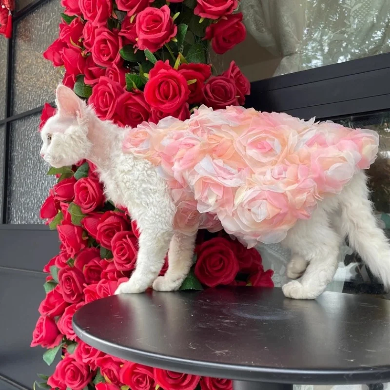 Vestido de princesa rosa de verano para gatitos, vestidos veraniegos suaves y transpirables de doble capa para disfraz de fiesta Devon Rex para gato Sphynx