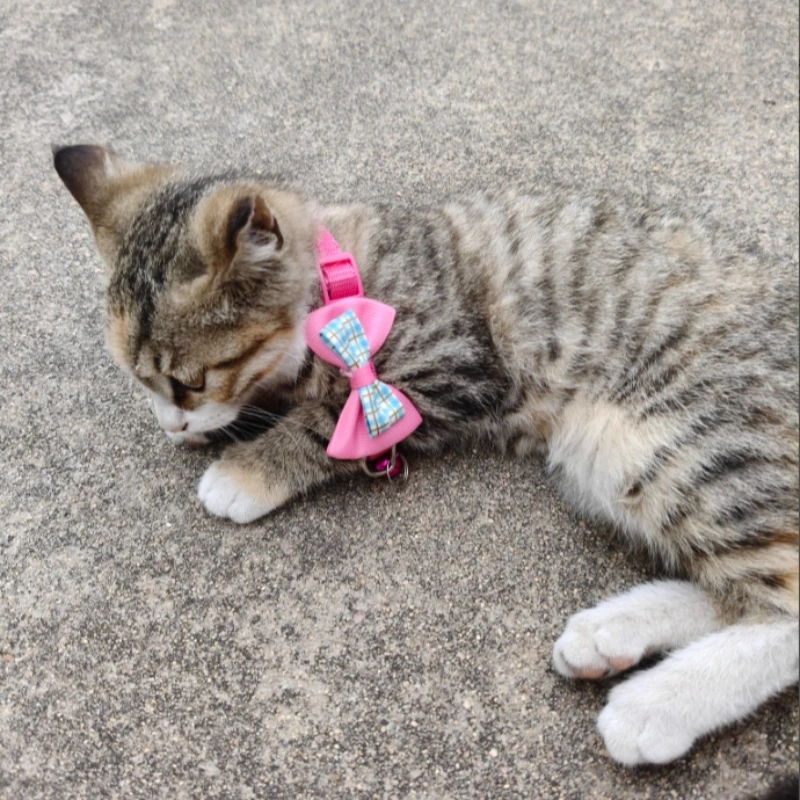 Pajarita de celosía ajustable para perros y gatos, hermoso Collar con campana, regalo de Navidad y Año Nuevo para cachorros, accesorios para mascotas, 1 Uds. - imagen 4