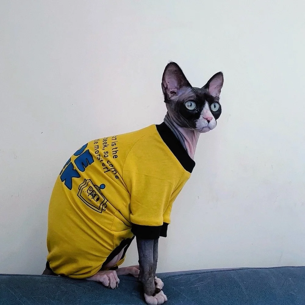 Abrigo suave para Devon Rex