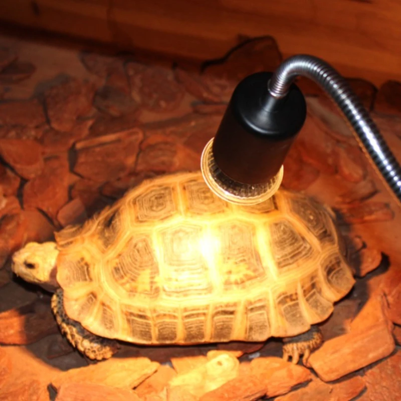 Lámpara UV para reptiles, Bombilla calefactora para tortugas, lagarto, hámster, controlador de temperatura, accesorios para reptiles, suplemento de calcio, 25W/50W/75W - imagen 5