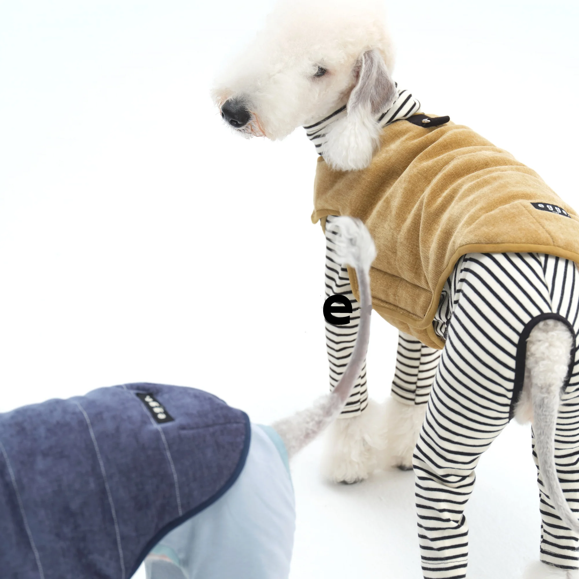 Chaleco vaquero azul grueso para perros de compañía en invierno, chaqueta amarilla ajustable con velcro de algodón cálido de estilo japonés para Whippet Bedlington - imagen 2