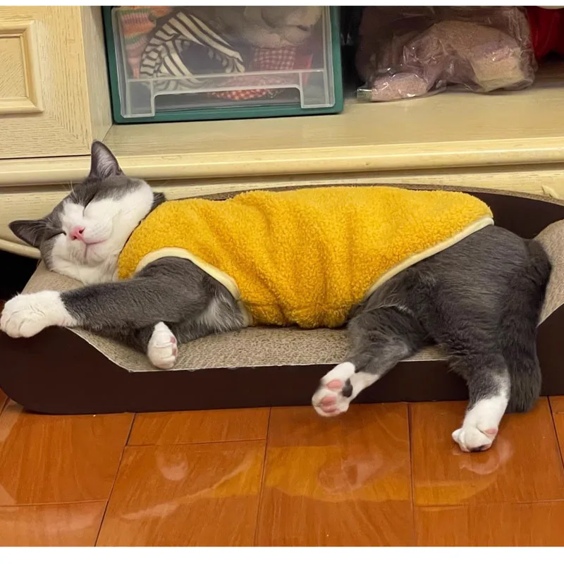 Sudadera con capucha de lana para perros Chihuahua, Poodle y Yorkie - imagen 4
