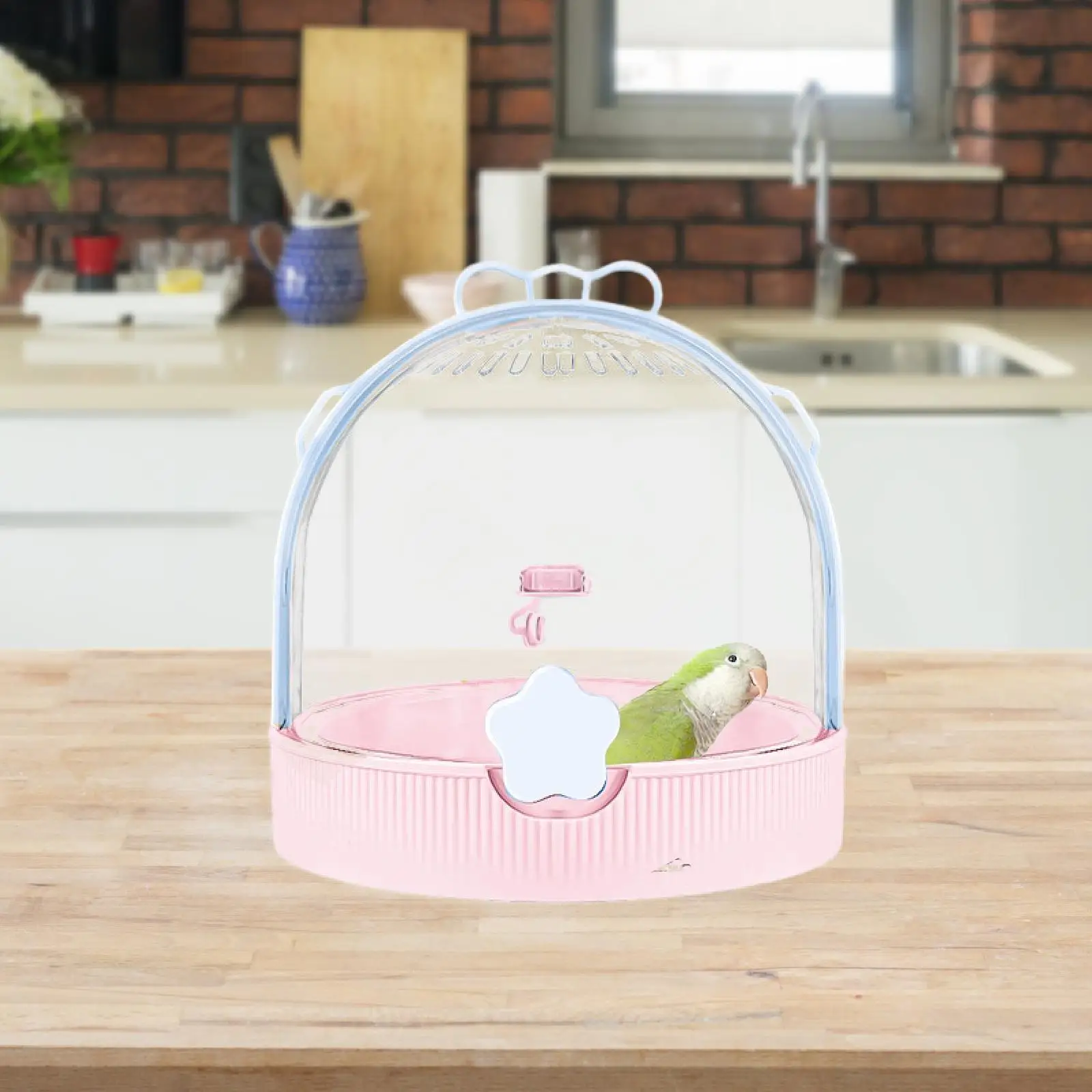 Small Animal Carrier Parrot Parakeet Carrier, Outgoing Cage Travel Carry Out Cage Hamster Carrier for Ferret, Chinchilla Mice