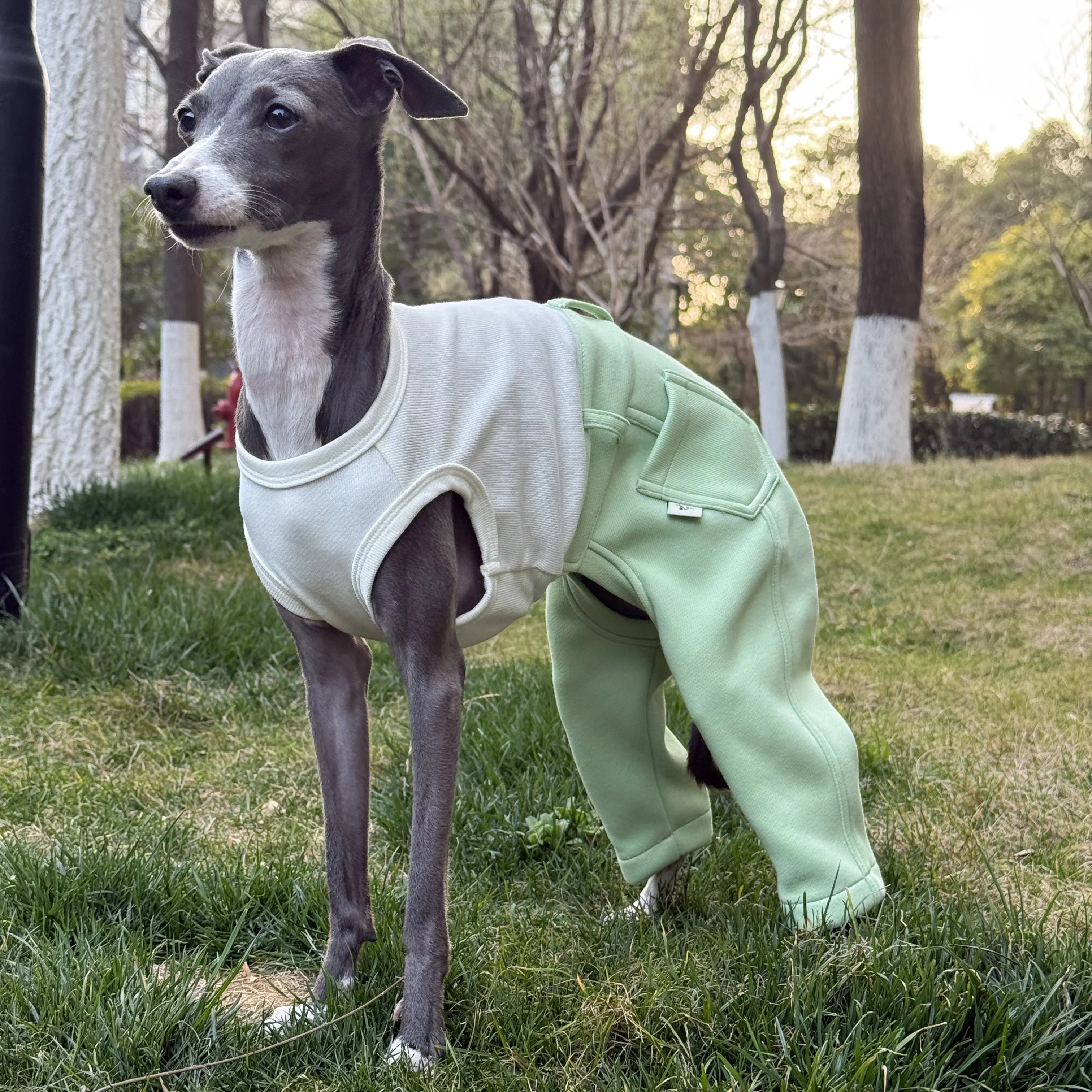 Ropa para Perros Mono de mezclilla azul de algodón primavera de una pieza Camiseta beige de alta elasticidad Pantalón negro para disfraces de caniche caniche italiano verde - imagen 3