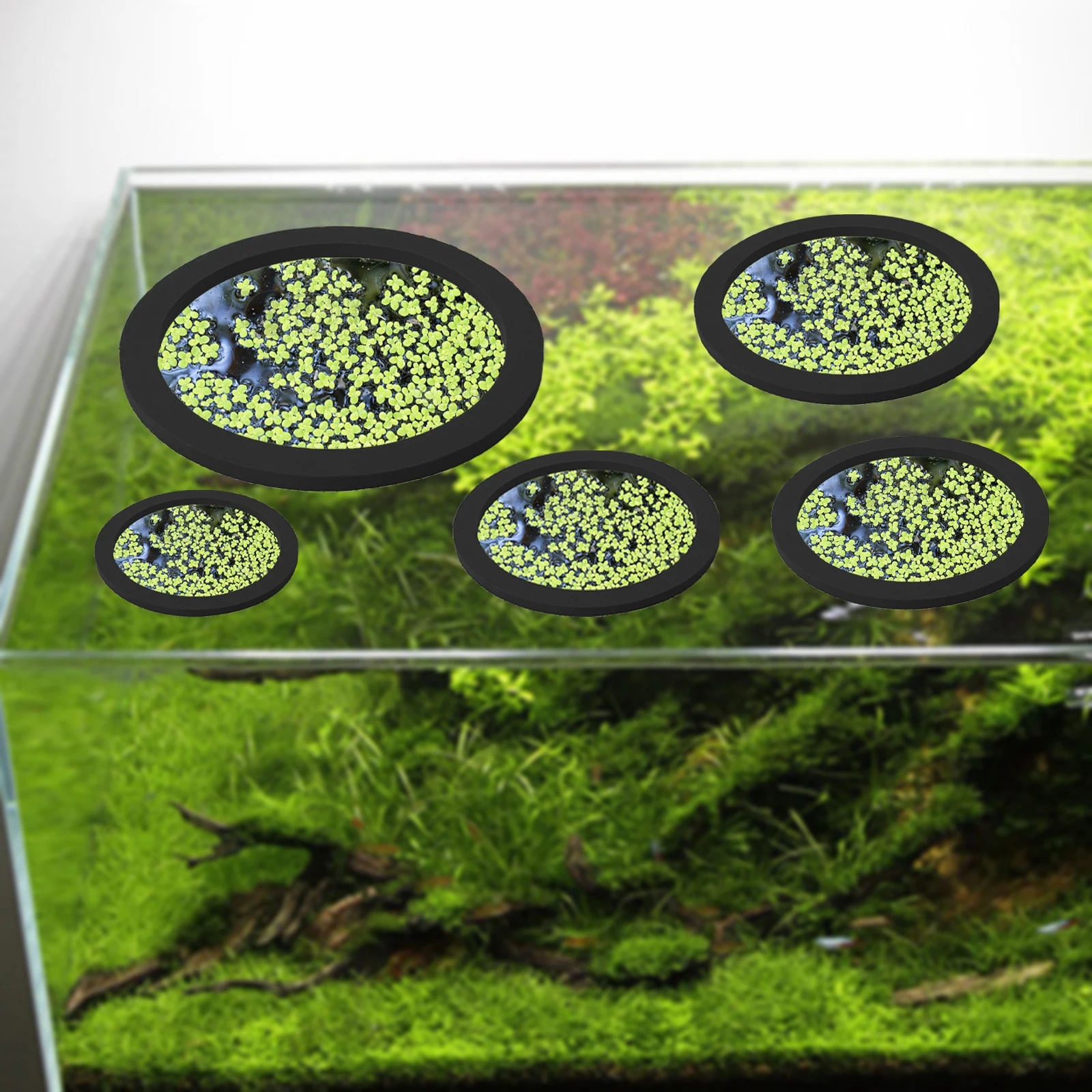 5 uds EVA anillo de alimentación de peces acuario planta flotante Coral pecera flotador planta barrera para acuario estanque accesorios 80-200mm - imagen 3