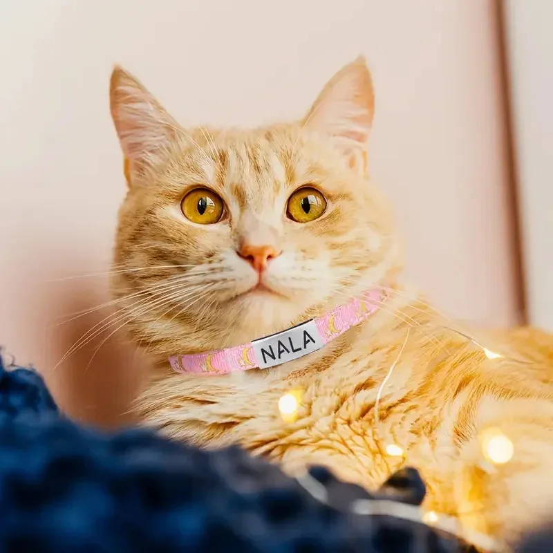 Collar personalizado para perro y gato, Collar para mascotas con estrellas y luna de Color dorado con campana y etiqueta de nombre de mascota grabada, hebilla de seguridad reflectante - imagen 4