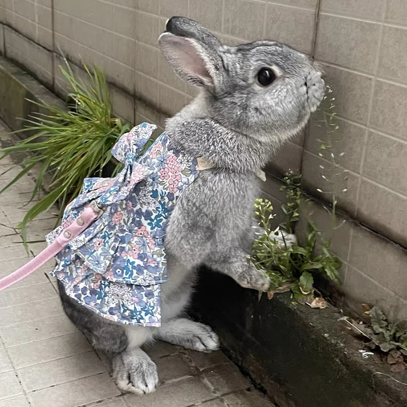 Dulce florete conejito Chinchilla falda vestido con hebilla lindos animales pequeños ropa para mascotas conejo conejillo de indias accesorios - imagen 4