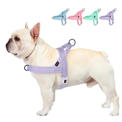 Arnés para perros de nylon ajustable - Paseos seguros y confortables