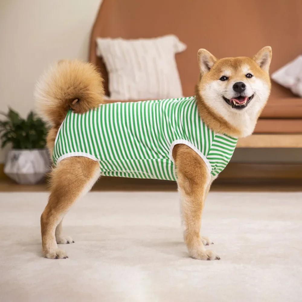 Traje de cirugía para perros, traje de recuperación de espía femenina para perros medianos y grandes, mono para perros después de la cirugía, mono antilamer para perros - imagen 5