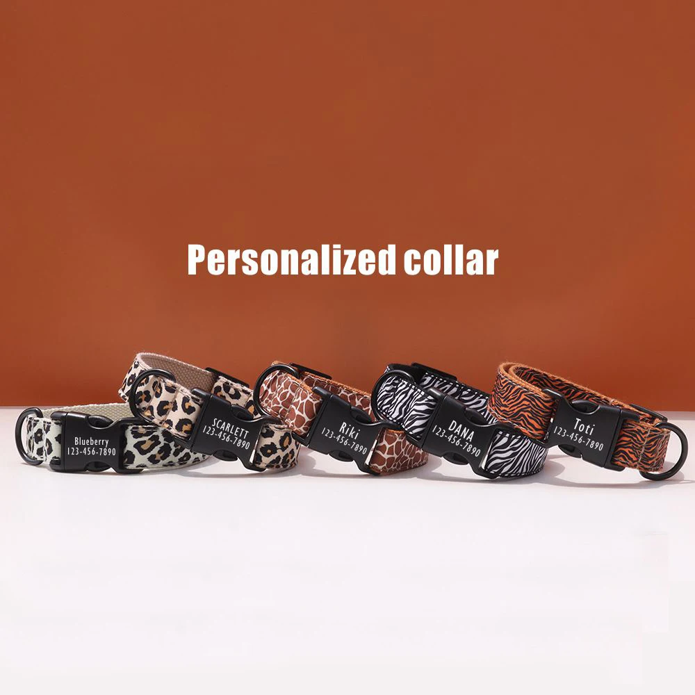 Collares personalizados para perros - rayas y hebilla grabada gratis