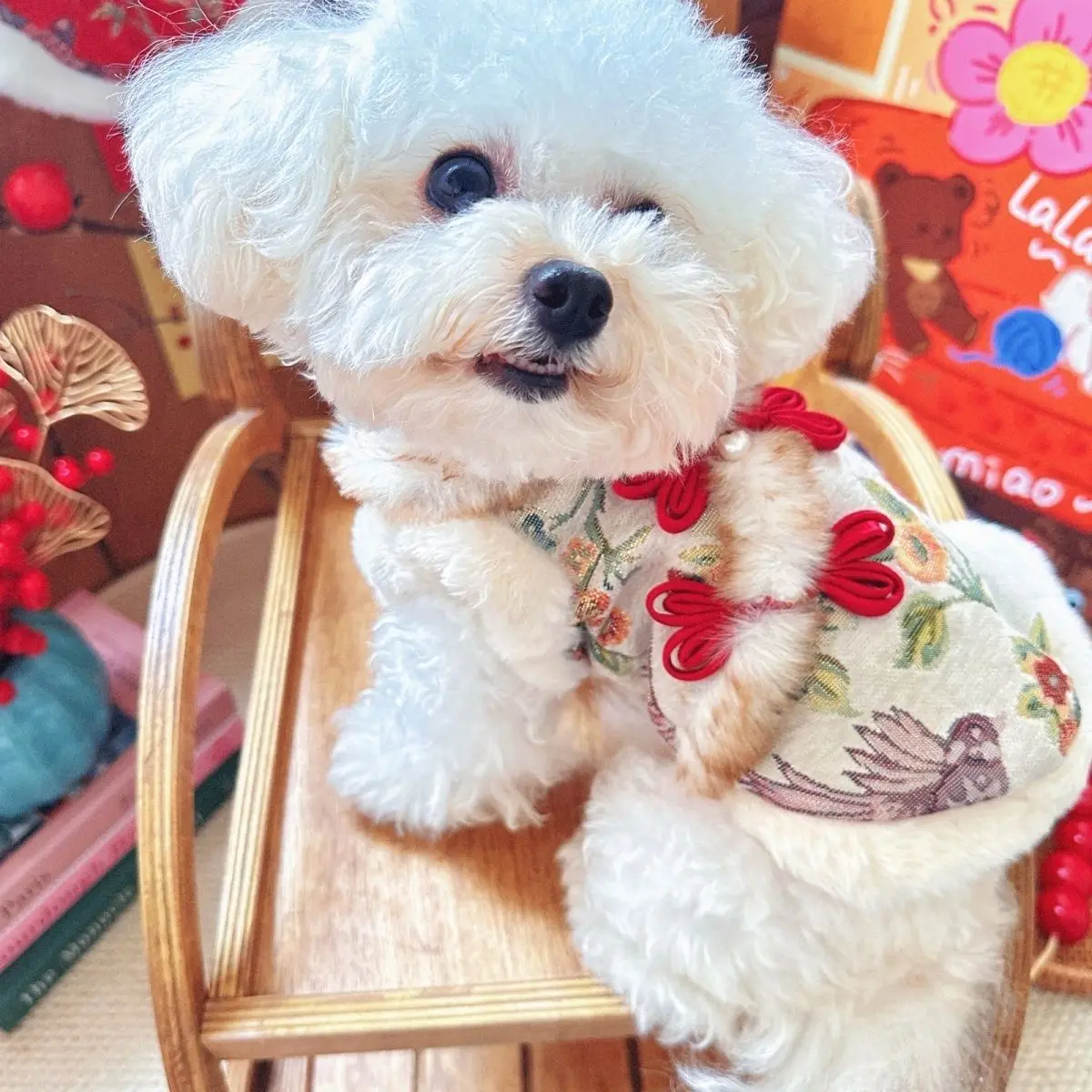 Vestido con cuello de felpa para otoño/invierno para mascotas, abrigo bordado de Año Nuevo para mascotas, abrigo de Navidad de peluche, ropa para perros pequeños - imagen 3