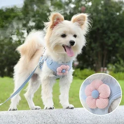 Chaleco protector para perros – Previene ingestiones y protege torso