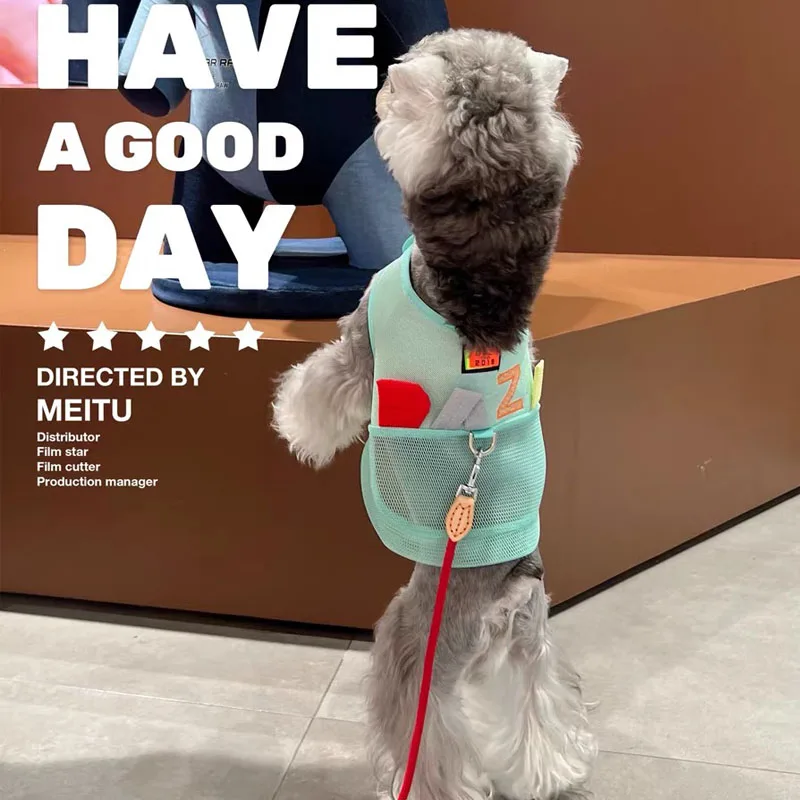 Arnés de malla de lujo para mascotas, chaleco refrescante para perros de verano para Schnauzer, Teddy de Pomerania, arnés ajustable transpirable para viajes de mascotas y paseo - imagen 2