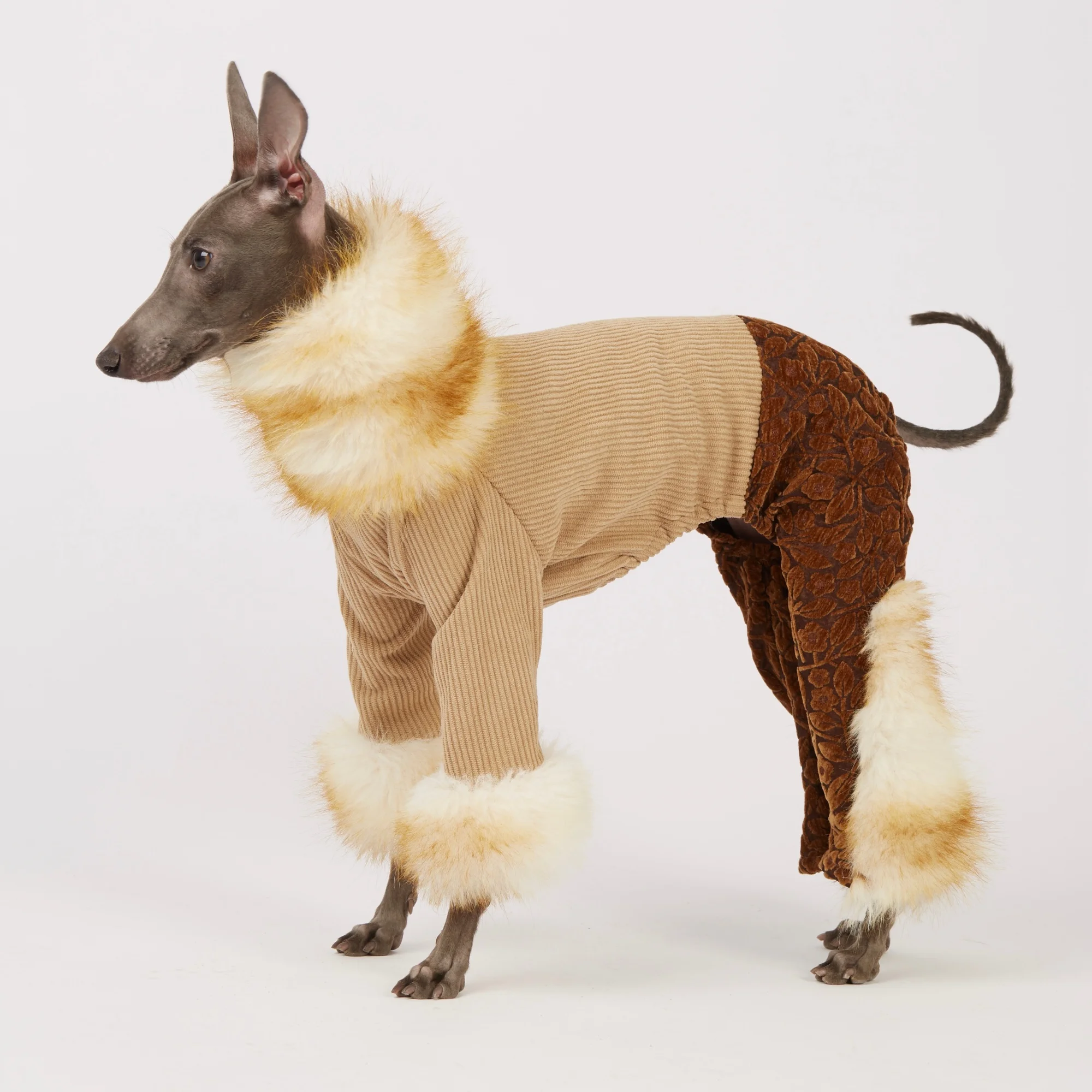 Ropa invierno galgo italiano y whippet: sudadera, pantalón, abrigo - imagen 2