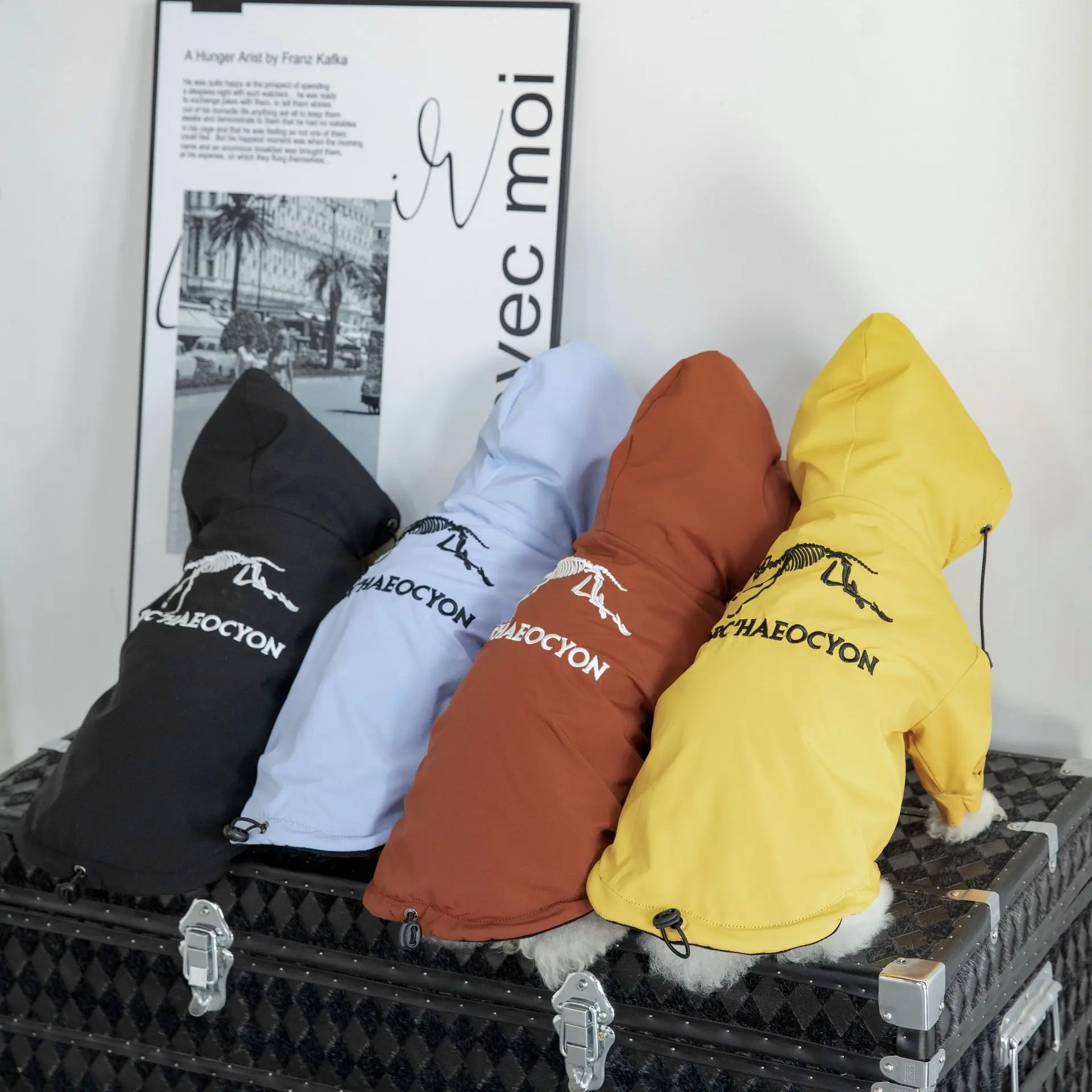 Nueva ropa para mascotas, chaqueta para perros, ropa con capucha de dos patas de terciopelo resistente a la lluvia, productos para mascotas - imagen 3