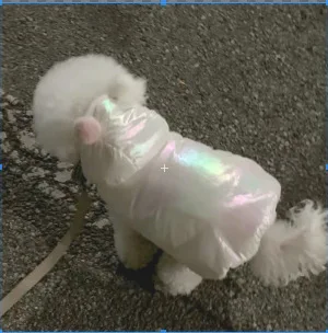 Ropa cálida de invierno para perros, abrigo de algodón grueso, ropa de moda ligera y fluida, abrigo de algodón con pan de oso de peluche, ropa de Pomerania - imagen 3