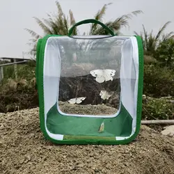 Incubadora transparente para criar mariposas e insectos