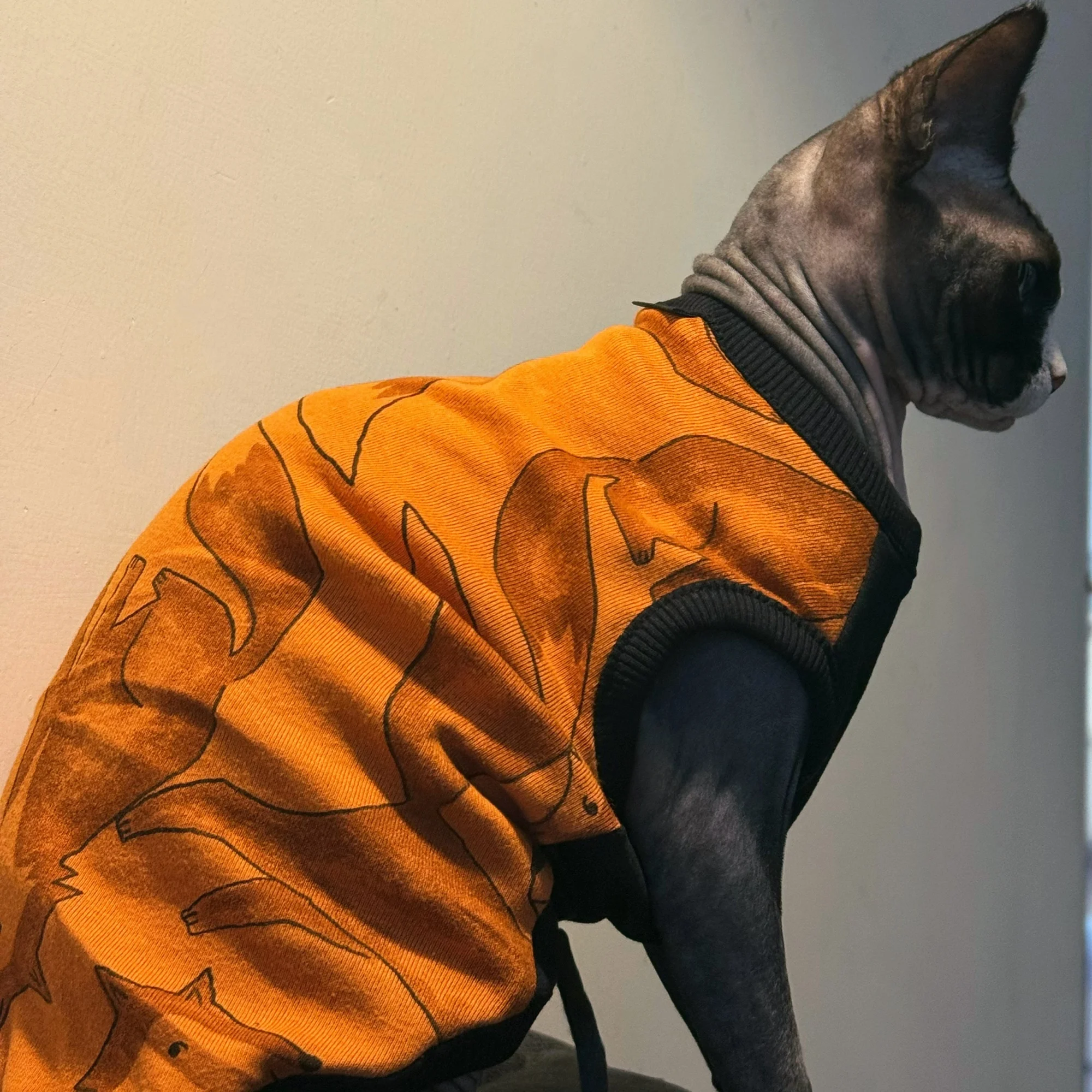 Pijama suave para gatos Sphynx y perros pequeños – Ropa de algodón para otoño e invierno - imagen 4